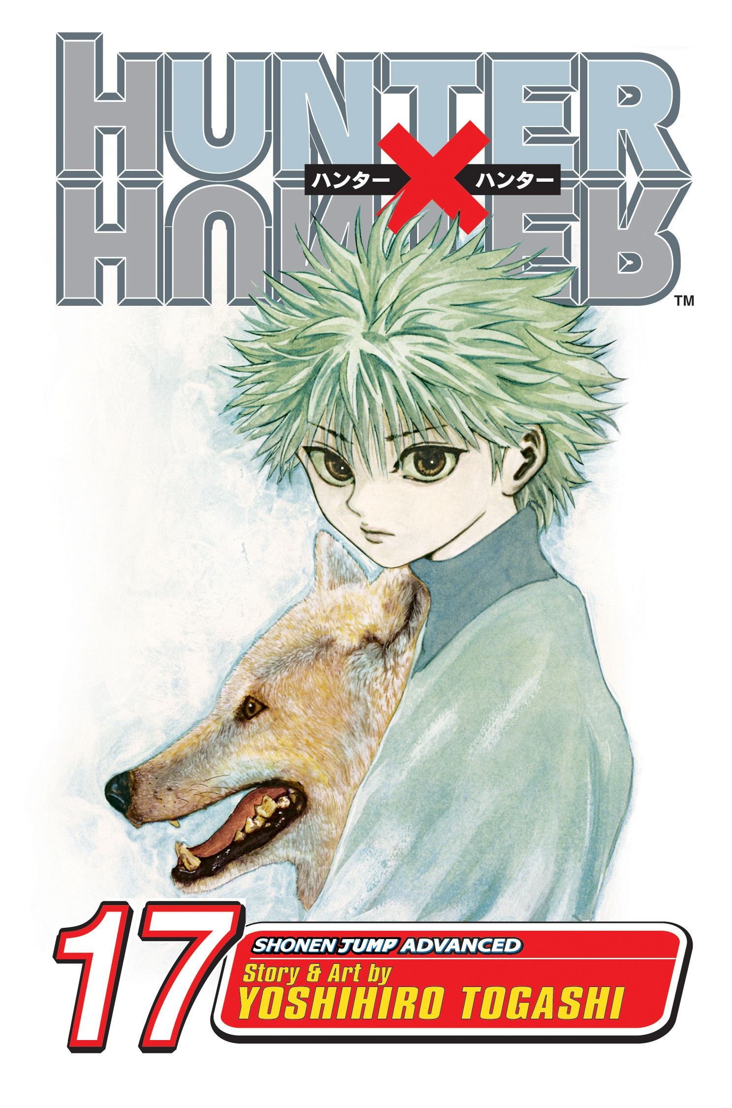 ＨＵＮＴＥＲ×ＨＵＮＴＥＲ １７ hunter-x-hunter-vol-17-