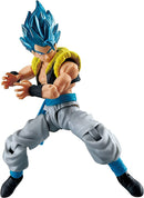 Dragon Ball Super - 5" Evolve Action Figure - Super Saiyan God Super Saiyan Gogeta