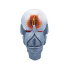 Lord of the Rings - Sauron 65mm Snow Globe