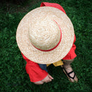 One Piece - Luffy Straw Hat Adult Size