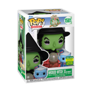 The Wizard of Oz - Wicked Witch with Winged Monkey SDCC 2024 Pop Vinyl [RS]