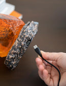 Jurassic Park - Amber Fossil LED Lamp