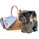 The Wizard of Oz - Toto & Basket Replica Set