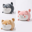 Shiba Inu Plush Cushion Assortment - 35cm