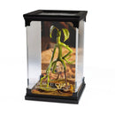 Fantastic Beasts and Where to Find Them - Bowtruckle Magical Creatures