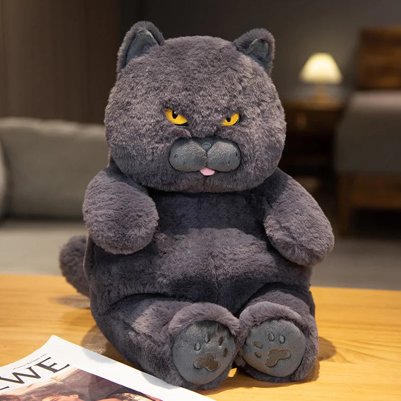 Buy Fat Cat Plushy Online Australia — Minitopia
