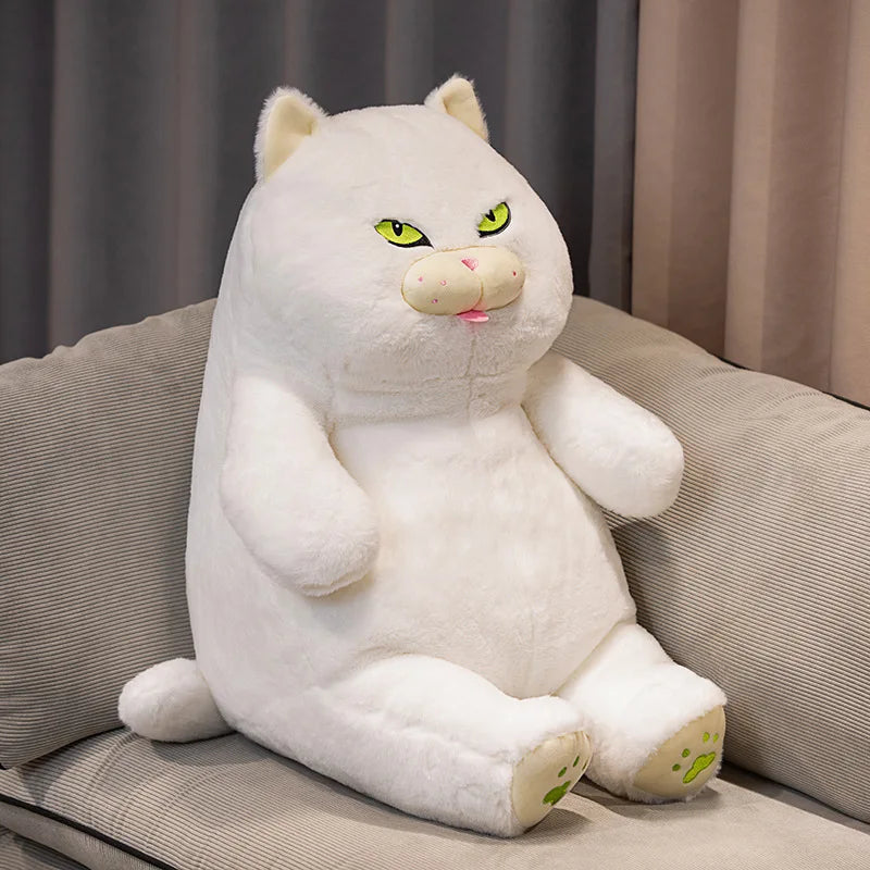 Buy Fat Cat Plushy Online Australia Minitopia