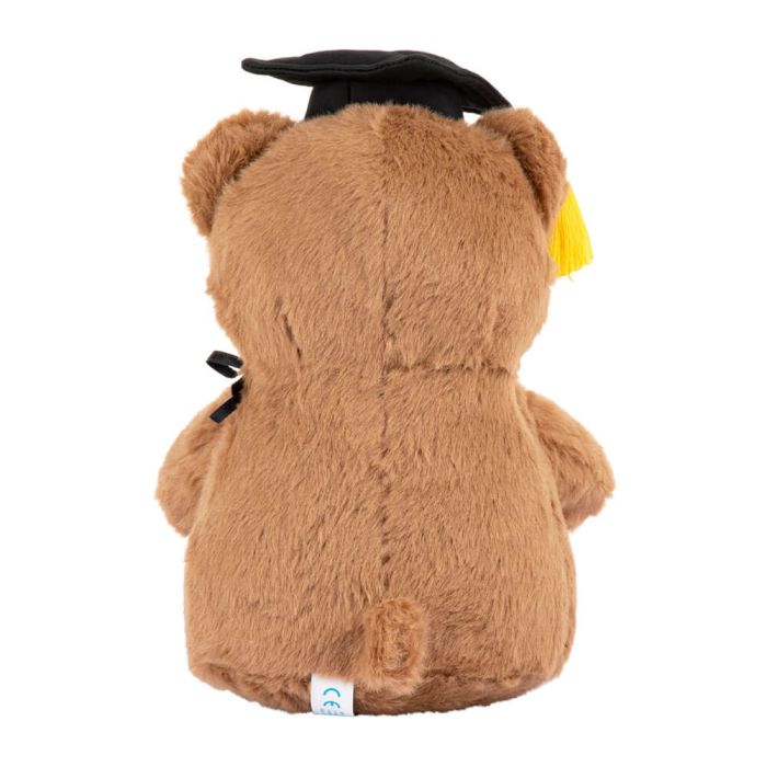 With Heart Graduation Bear With Message Card