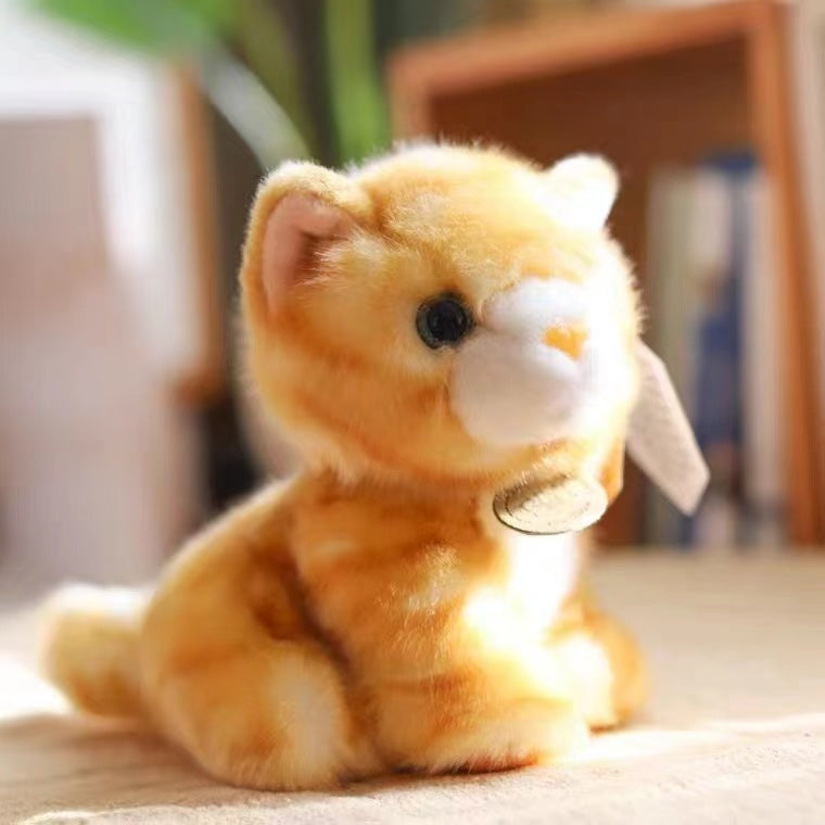 Tabby Cat 20cm Plush (Toy Club)