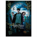 Harry Potter Group 1000pc Puzzle