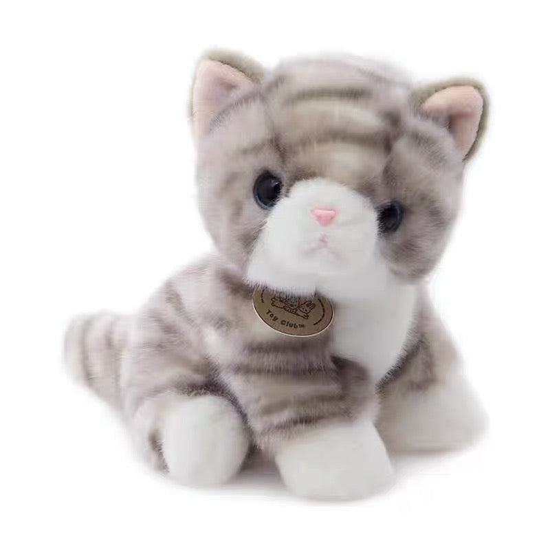 Tabby Cat 20cm Plush (Toy Club)