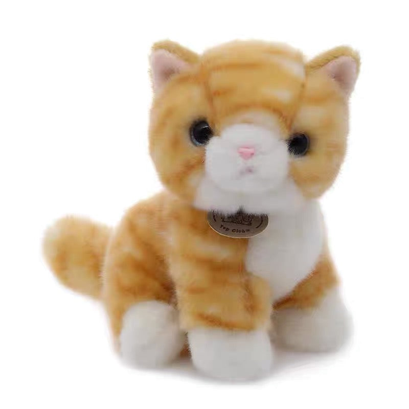 Tabby Cat 20cm Plush (Toy Club)