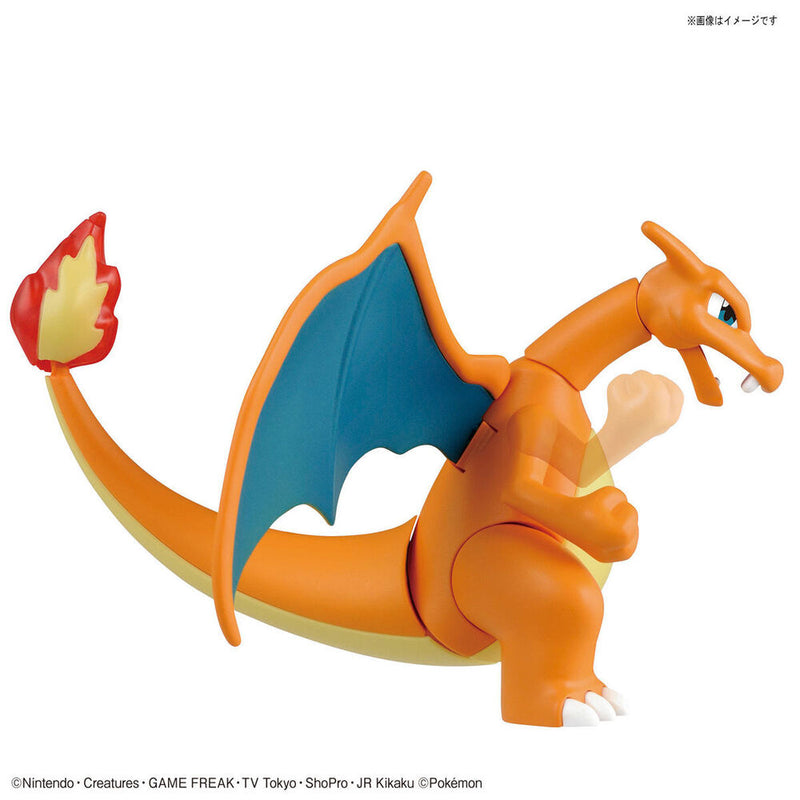 Pokémon - Pokémon Model Kit - Charizard & Dragonite