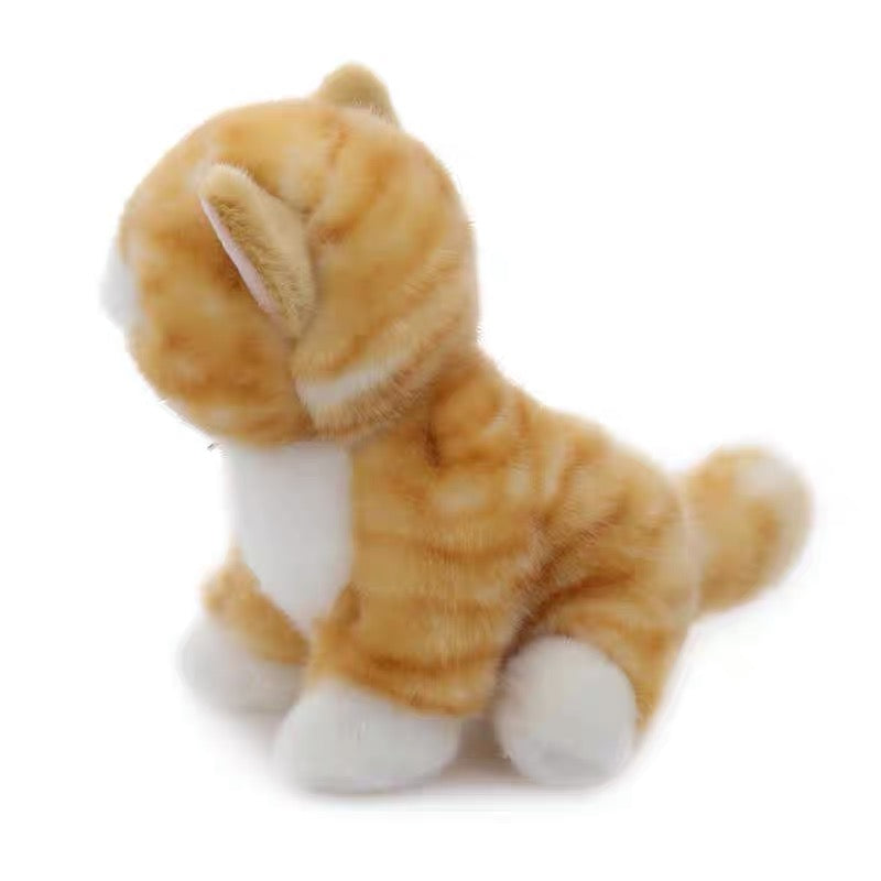 Tabby Cat 20cm Plush (Toy Club)