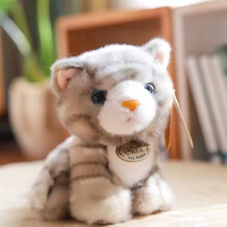 Tabby Cat 20cm Plush (Toy Club)