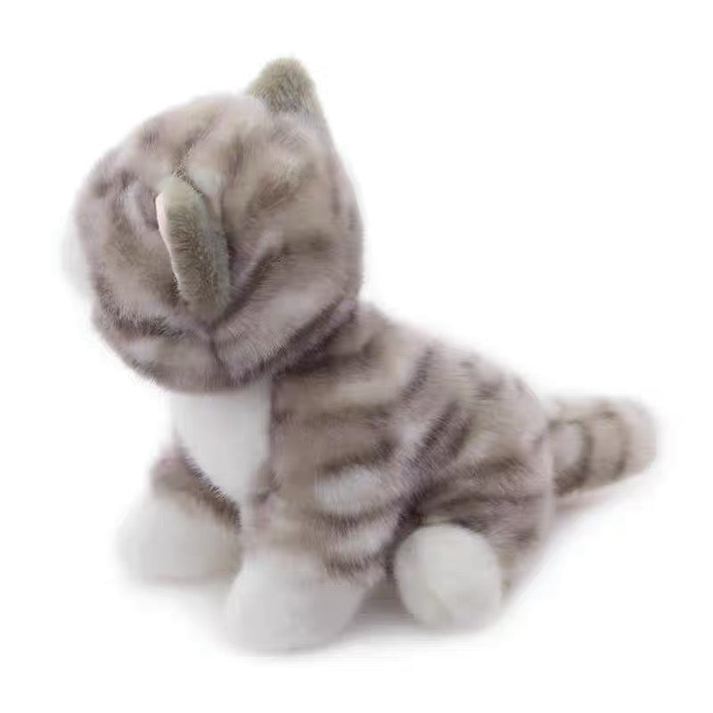 Tabby Cat 20cm Plush (Toy Club)