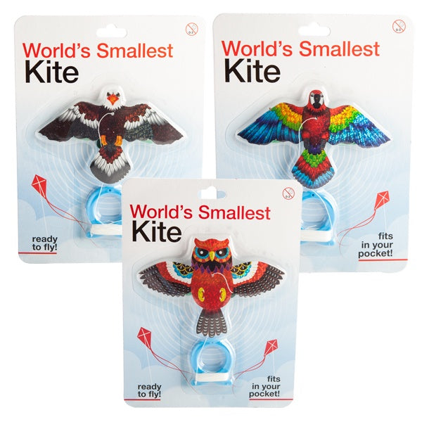 World's Smallest Kite - Birds