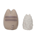 Pusheen & Stormy Salt & Pepper Shaker Set