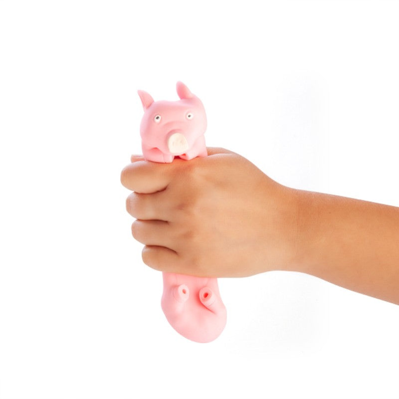 Squishy & Stretchy Pig