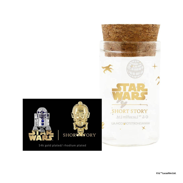 Star Wars - R2-D2 & C-3PO Epoxy Earrings