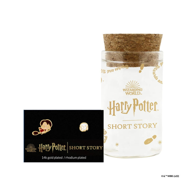 Harry Potter - Harry Potter & Hedwig Epoxy Earrings