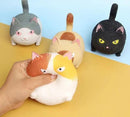 Squishy Angry Cats assorted