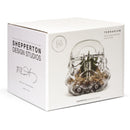 Stormtrooper - Terranium