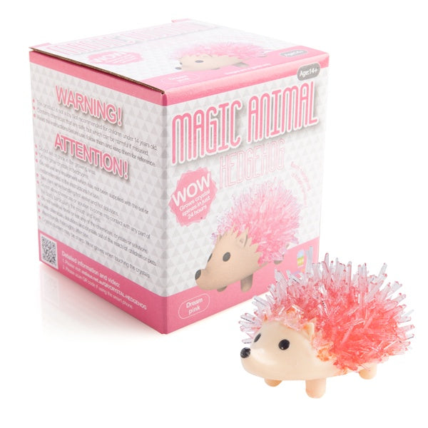 Dream Pink Magic Crystal Hedgehog