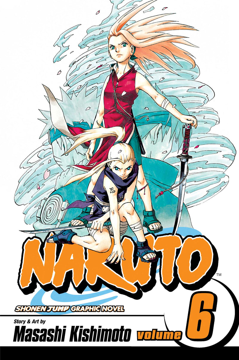 Manga - Naruto, Vol. 6