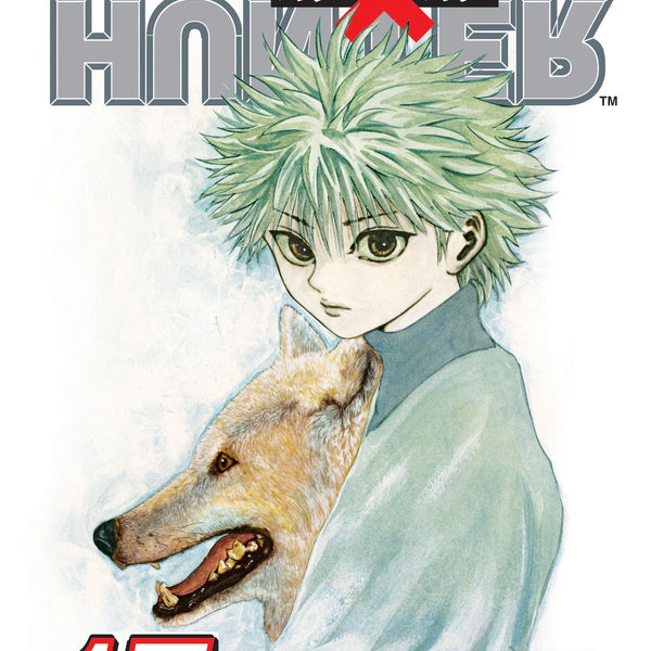 Buy Manga - Hunter x Hunter, Vol. 17 Online Australia — Minitopia